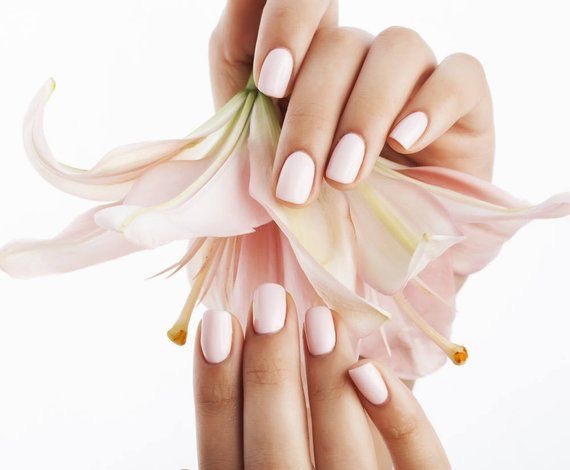 Model Nails nail photo 3